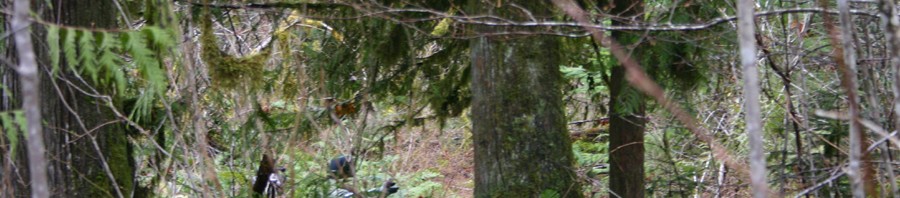 CAG March Training 116