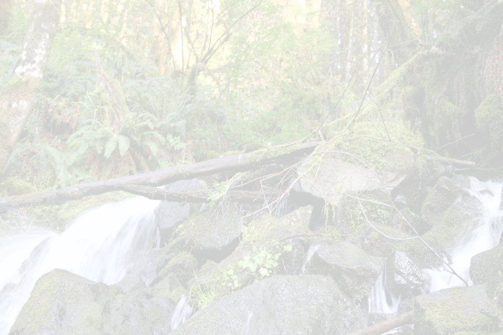 © Camp R&R backdrop-fade.png